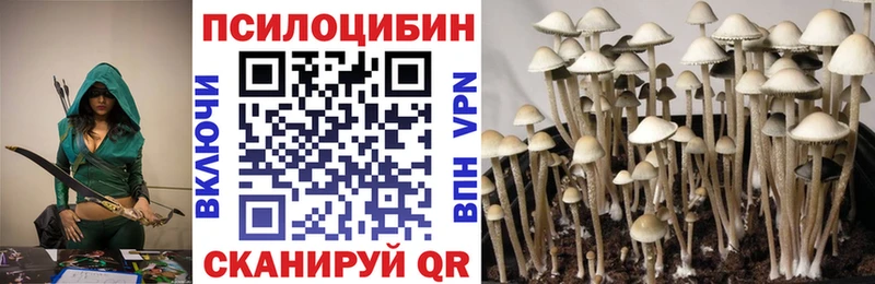 Галлюциногенные грибы MAGIC MUSHROOMS цена Серпухов